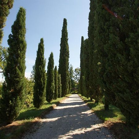 Villa Ghislanzoni Vicenza Exteriér fotografie